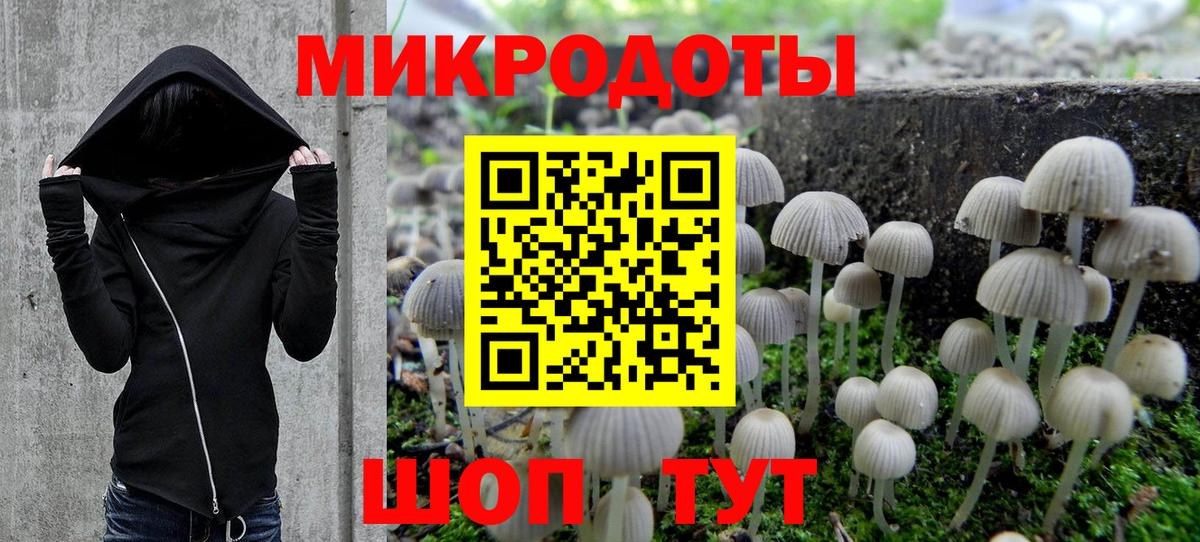 Псилоцибиновые грибы Psilocybine cubensis Ростов-на-Дону