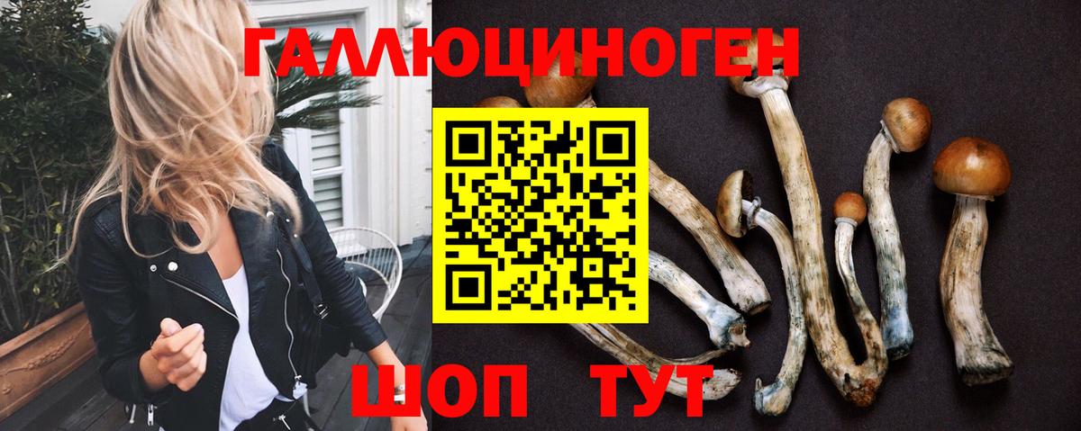 Псилоцибиновые грибы Cubensis  Вход с VPN  Ростов-на-Дону 